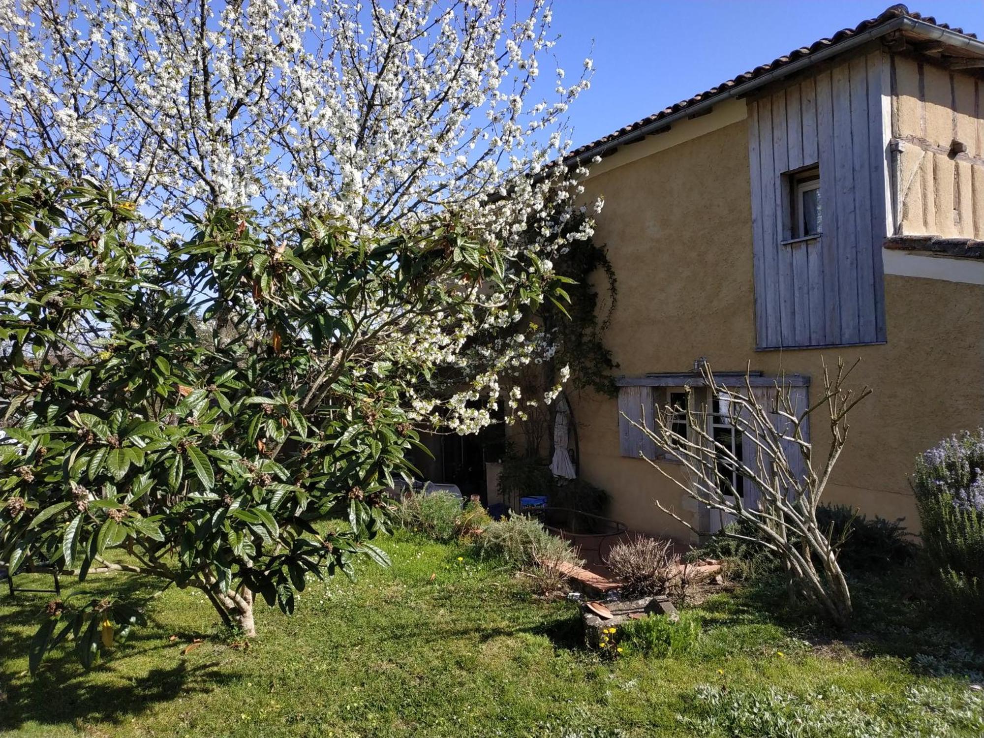 "Au Campaner" Chambres Dans Maison Gasconne Barran 外观 照片